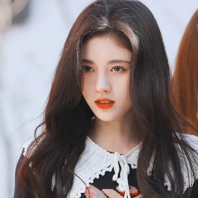 万物友灵